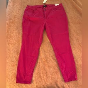 NWT Lane Bryant Skinny Pants